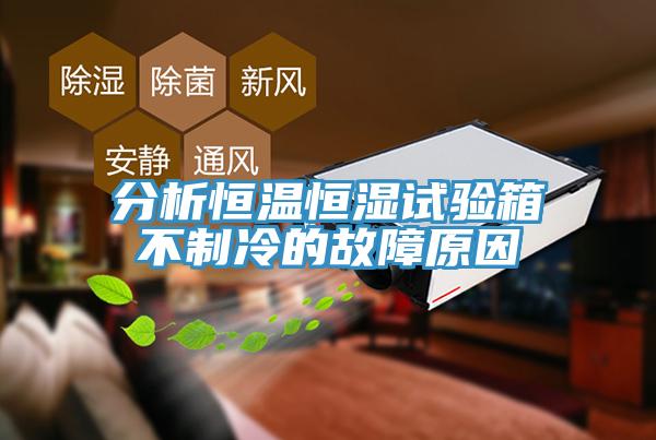 分析恒溫恒濕試驗箱不制冷的故障原因