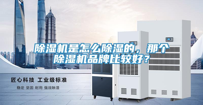 除濕機是怎么除濕的，那個除濕機品牌比較好？