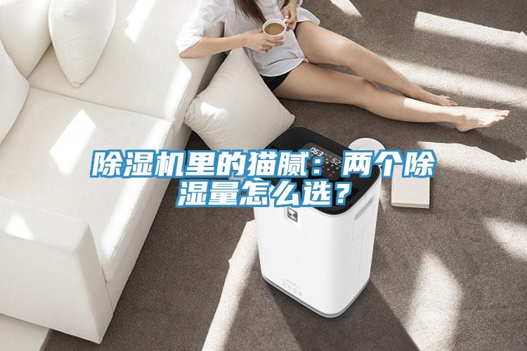 除濕機里的貓膩：兩個除濕量怎么選？