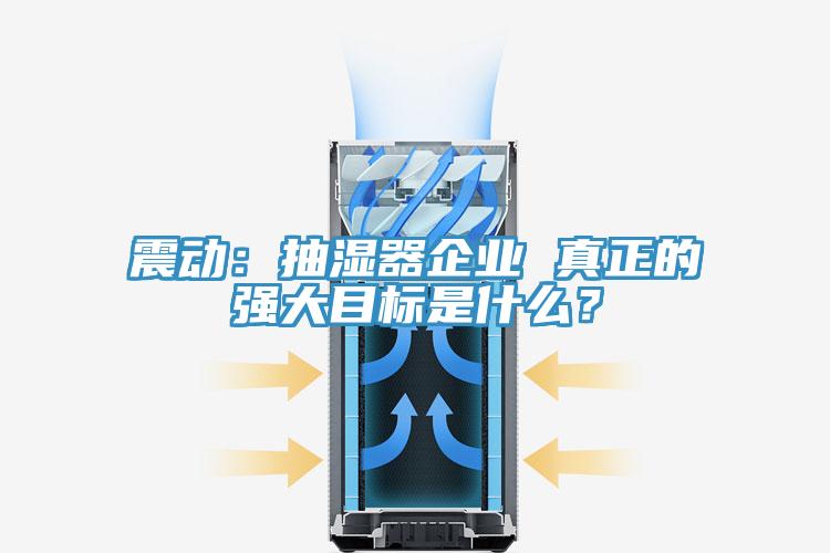 震動：抽濕器企業 真正的強大目標是什么？