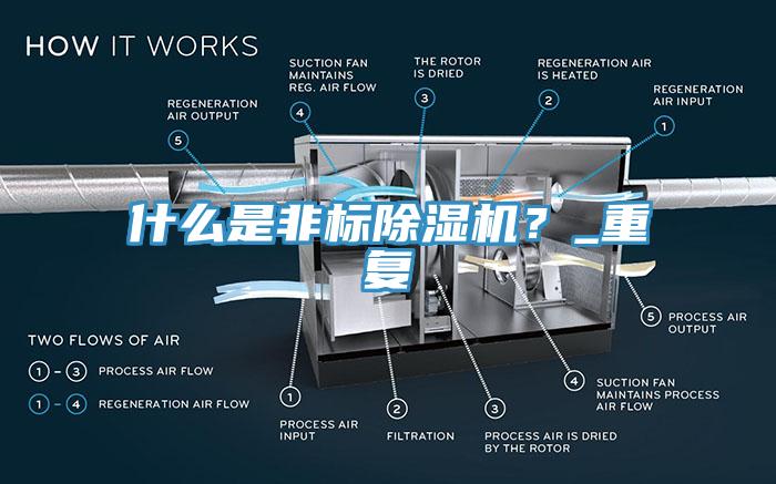什么是非標除濕機？_重復