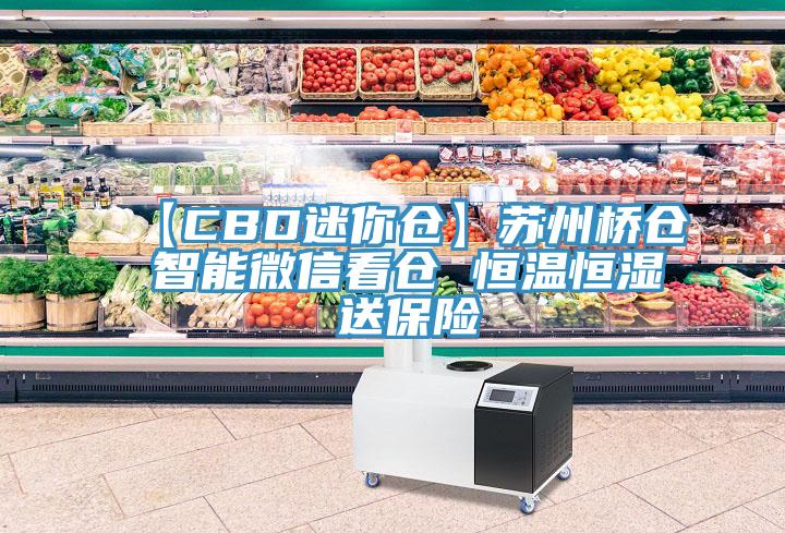 【CBD迷你倉】蘇州橋倉 智能微信看倉 恒溫恒濕 送保險