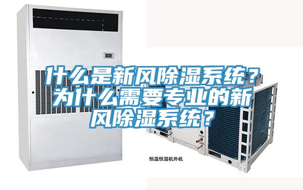 什么是新風除濕系統？為什么需要專業的新風除濕系統？
