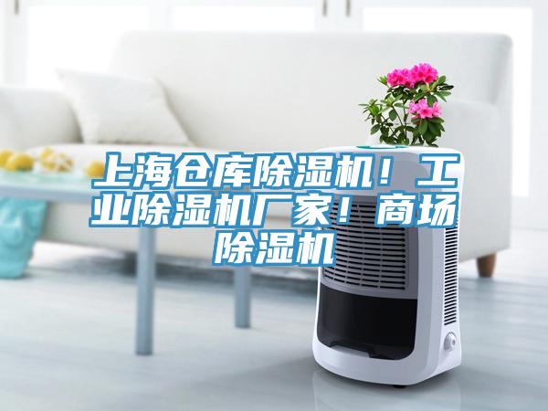 上海倉庫除濕機！工業除濕機廠家！商場除濕機