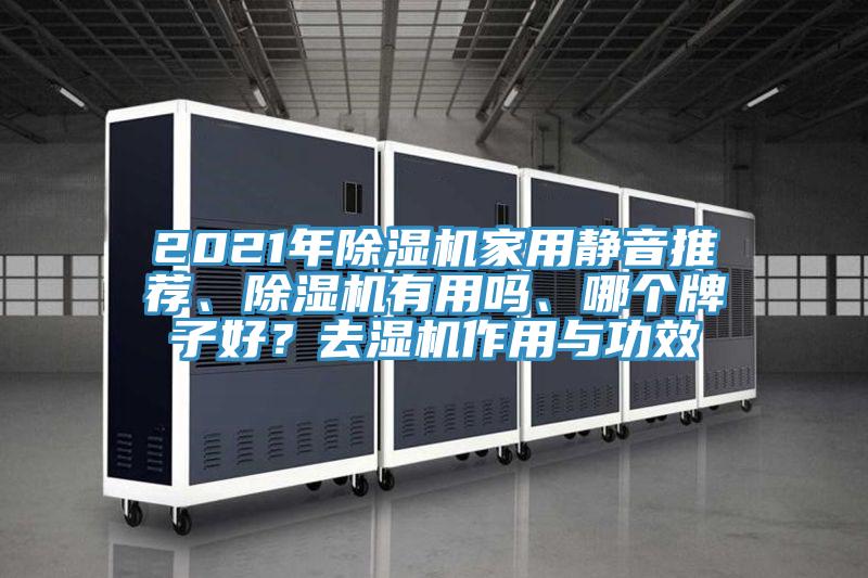 2021年除濕機家用靜音推薦、除濕機有用嗎、哪個牌子好？去濕機作用與功效