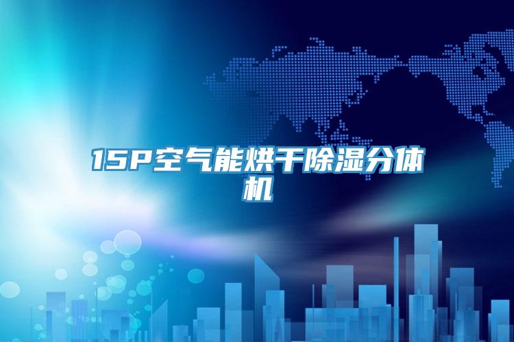 15P空氣能烘干除濕分體機