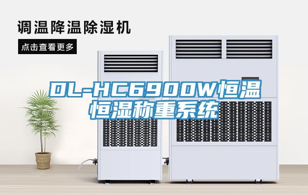 DL-HC6900W恒溫恒濕稱重系統