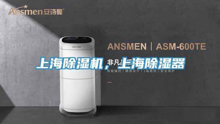 上海除濕機，上海除濕器