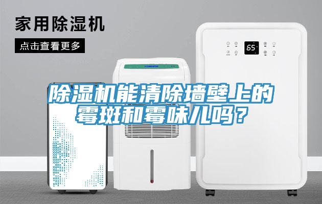除濕機能清除墻壁上的霉斑和霉味兒嗎？
