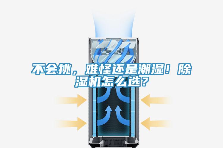 不會挑，難怪還是潮濕！除濕機怎么選？