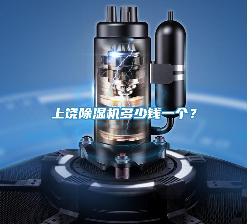 上饒除濕機多少錢一個？