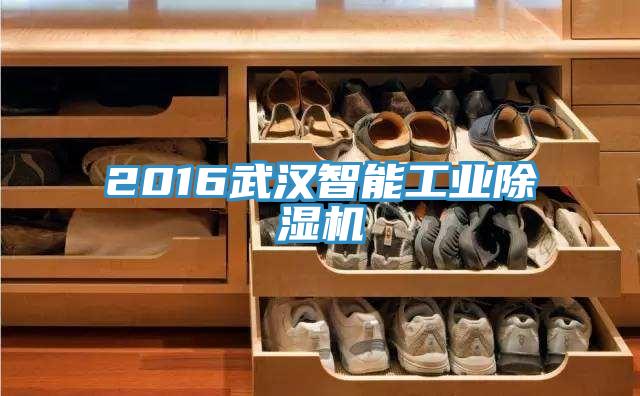 2016武漢智能工業除濕機
