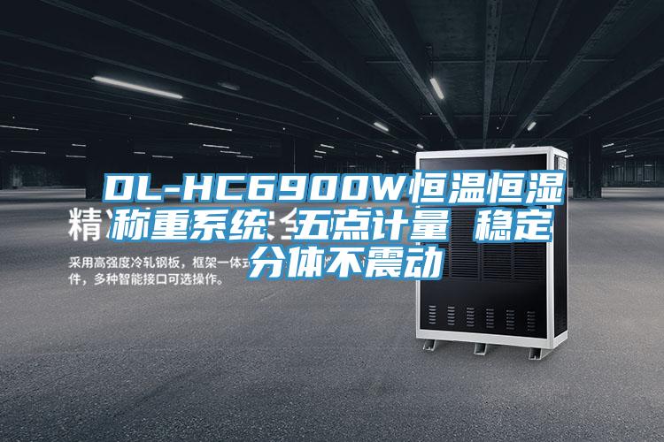 DL-HC6900W恒溫恒濕稱重系統 五點計量 穩定 分體不震動
