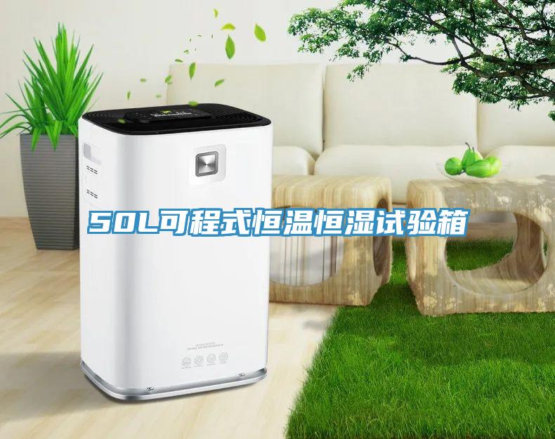 50L可程式恒溫恒濕試驗箱