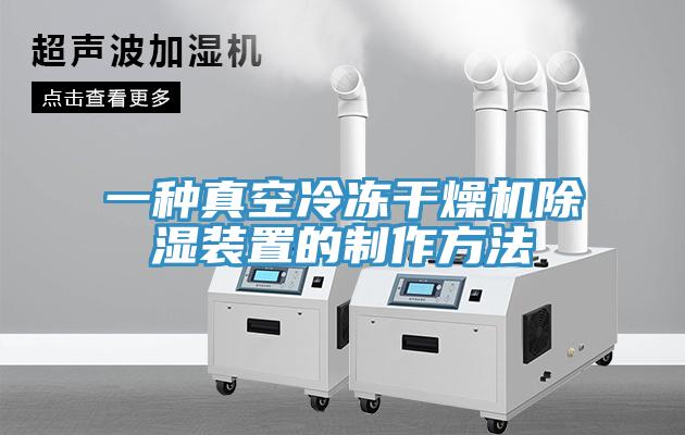 一種真空冷凍干燥機除濕裝置的制作方法