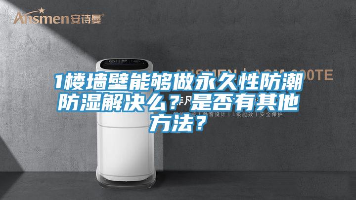 1樓墻壁能夠做永久性防潮防濕解決么？是否有其他方法？