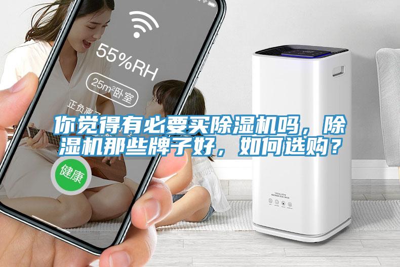 你覺得有必要買除濕機嗎，除濕機那些牌子好，如何選購？