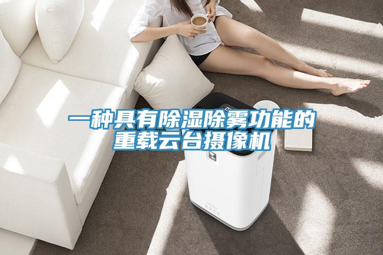 一種具有除濕除霧功能的重載云臺攝像機