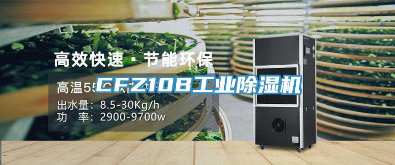 CFZ10B工業除濕機