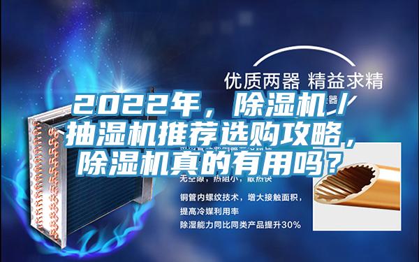 2022年，除濕機／抽濕機推薦選購攻略，除濕機真的有用嗎？