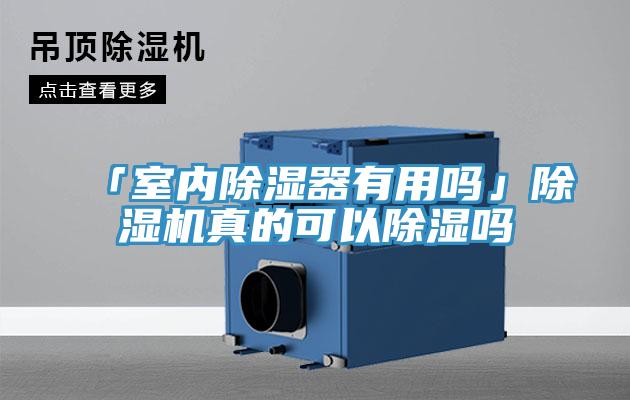 「室內除濕器有用嗎」除濕機真的可以除濕嗎