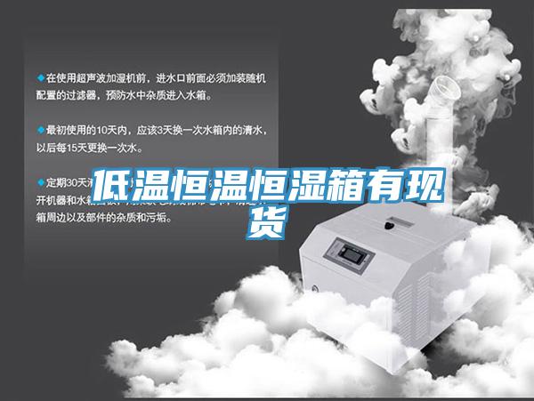 低溫恒溫恒濕箱有現貨