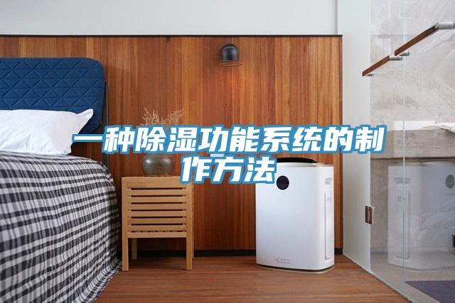一種除濕功能系統的制作方法
