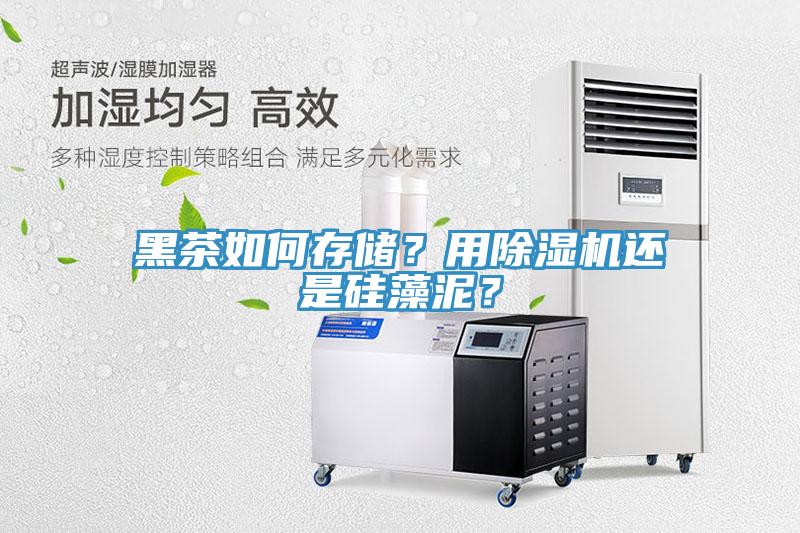 黑茶如何存儲？用除濕機還是硅藻泥？