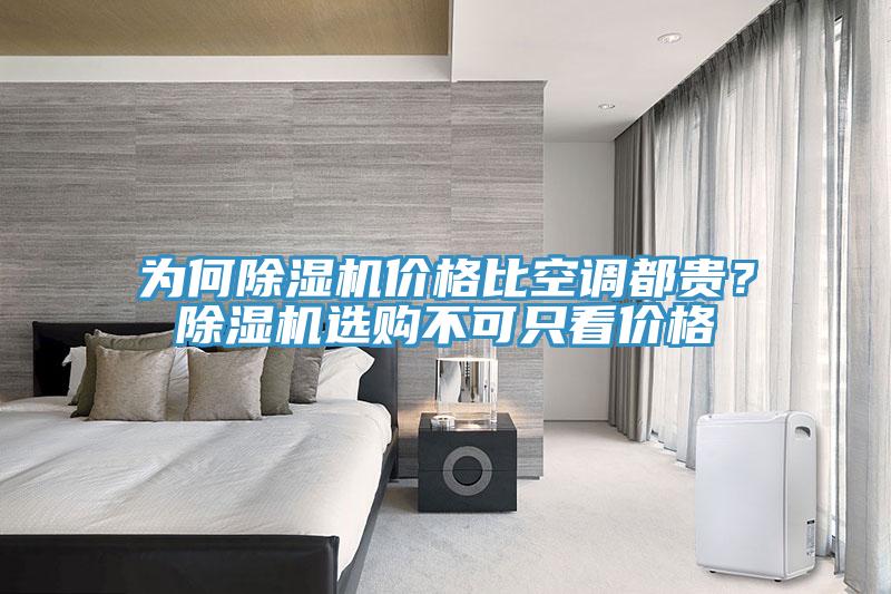 為何除濕機價格比空調都貴？除濕機選購不可只看價格