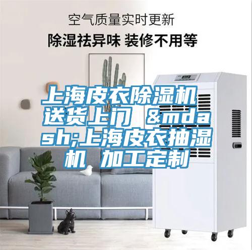 上海皮衣除濕機 送貨上門 &mdash;上海皮衣抽濕機 加工定制