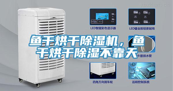 魚干烘干除濕機，魚干烘干除濕不靠天