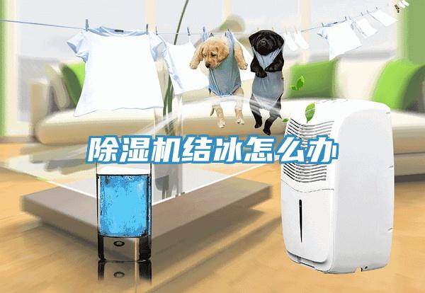 除濕機結冰怎么辦