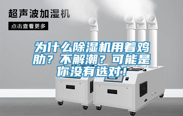 為什么除濕機用著雞肋？不解潮？可能是你沒有選對！