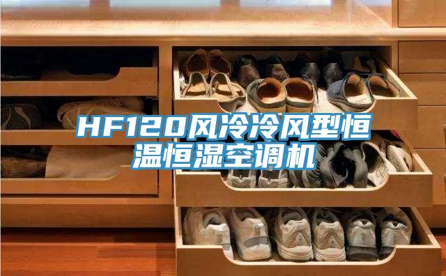 HF120風冷冷風型恒溫恒濕空調機