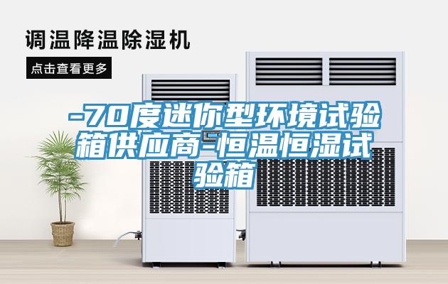 -70度迷你型環境試驗箱供應商-恒溫恒濕試驗箱