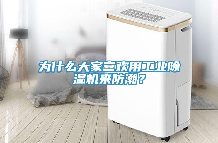 為什么大家喜歡用工業除濕機來防潮？