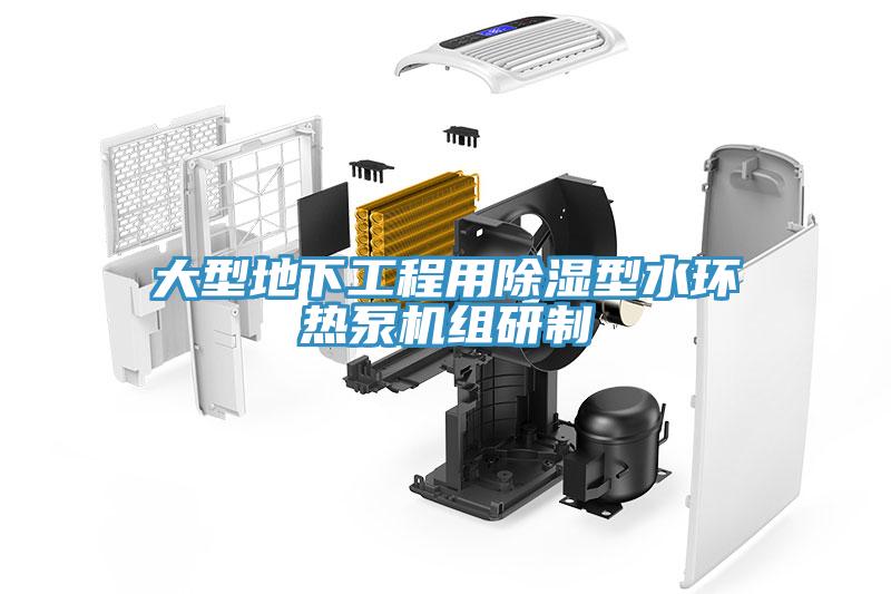 大型地下工程用除濕型水環熱泵機組研制
