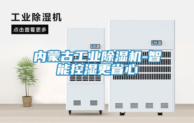 內蒙古工業除濕機-智能控濕更省心