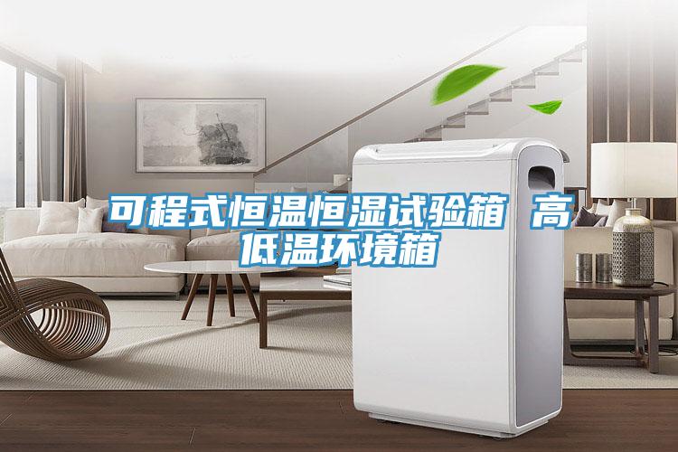 可程式恒溫恒濕試驗箱 高低溫環境箱