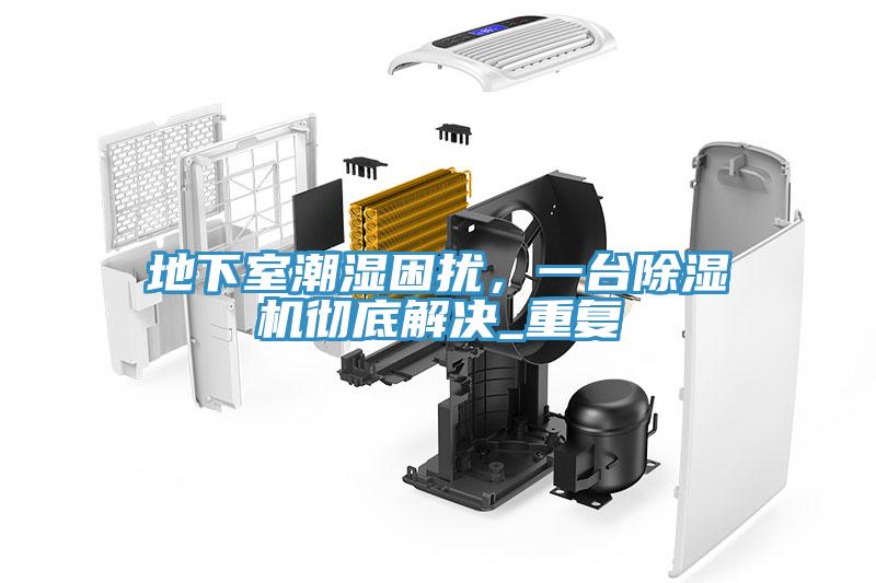 地下室潮濕困擾，一臺除濕機徹底解決_重復