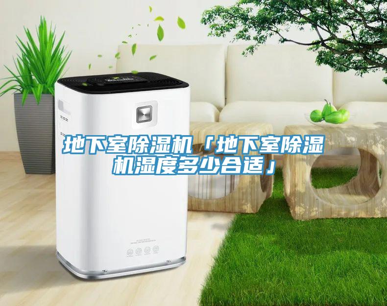 地下室除濕機「地下室除濕機濕度多少合適」