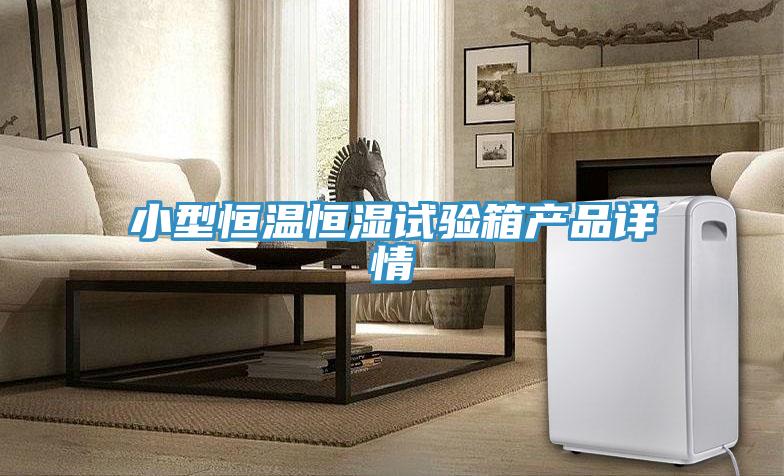 小型恒溫恒濕試驗箱產品詳情