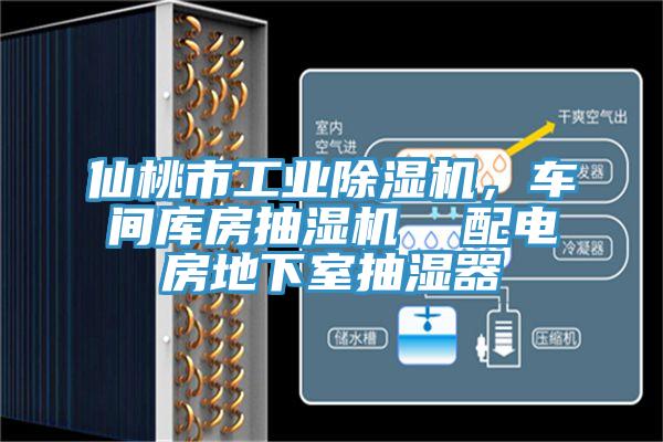 仙桃市工業除濕機，車間庫房抽濕機  配電房地下室抽濕器