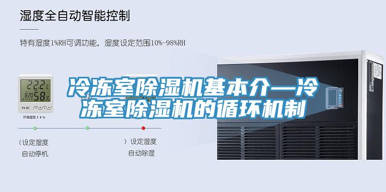 冷凍室除濕機基本介—冷凍室除濕機的循環機制