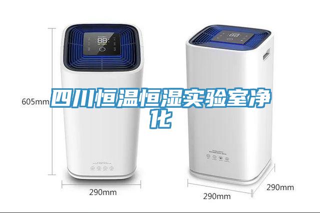 四川恒溫恒濕實驗室凈化