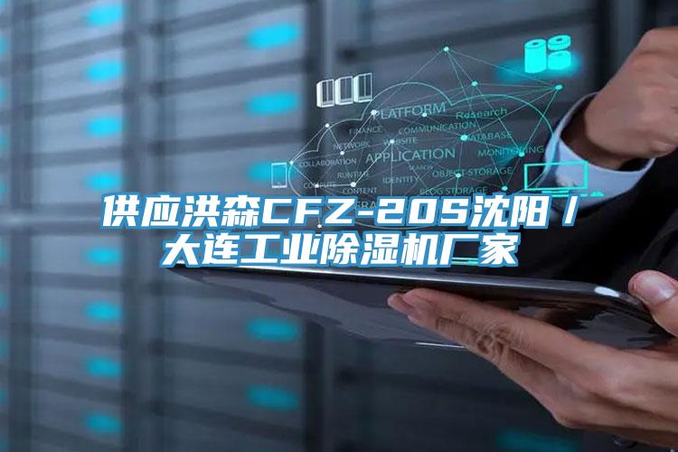 供應洪森CFZ-20S沈陽／大連工業除濕機廠家