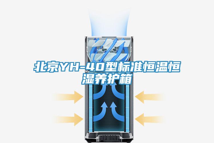 北京YH-40型標準恒溫恒濕養護箱