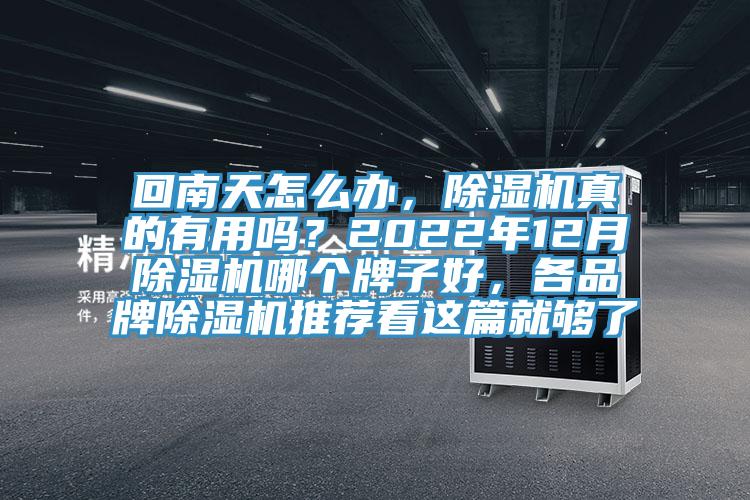 回南天怎么辦，除濕機真的有用嗎？2022年12月除濕機哪個牌子好，各品牌除濕機推薦看這篇就夠了