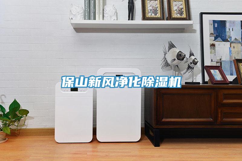 保山新風凈化除濕機