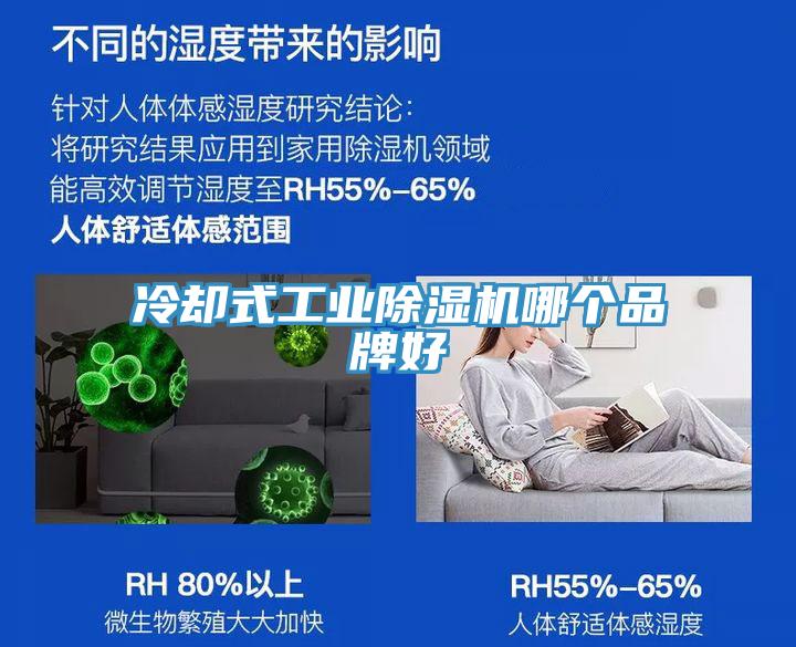 冷卻式工業除濕機哪個品牌好